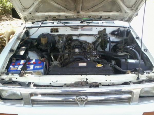 ไมตี้เอ๊ก แคบ ปี 35 สวย 138,000 ไมตี้เอ๊ก แคบ ปี 35 สวย 138,000