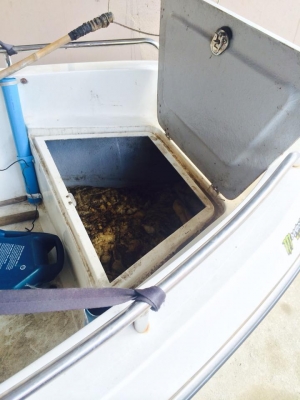 ขายเรือ ตกปลา สภาพสวย พร้อมใช้ 150,000 พอไม่ต้องต่อสนใจมาดูเลย 087-3234029 ขายเรือ ตกปลา สภาพสวย พร้อมใช้ 150,000 พอไม่ต้องต่อสนใจมาดูเลย 087-3234029