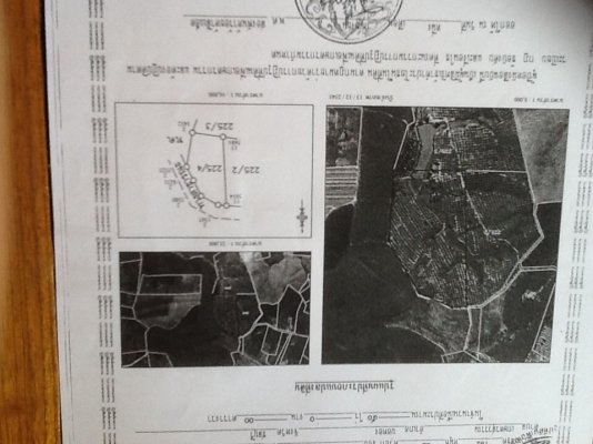 ขายที่ดินสวนยางพารา