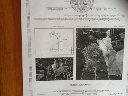 ขายที่ดินสวนยางพารา