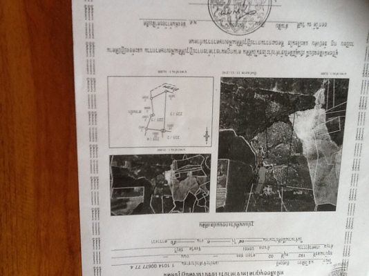 ขายที่ดินสวนยางพารา