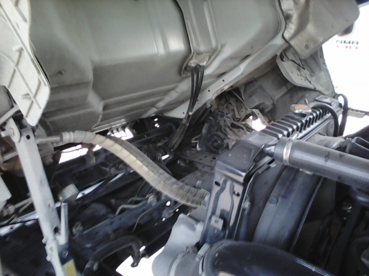 หกล้อ อีซูซุ NQR150แรง ยาว5.5เมตร สภาพดีสวยเดิมๆจากห้าง ทะเบียนพร้อมโอน