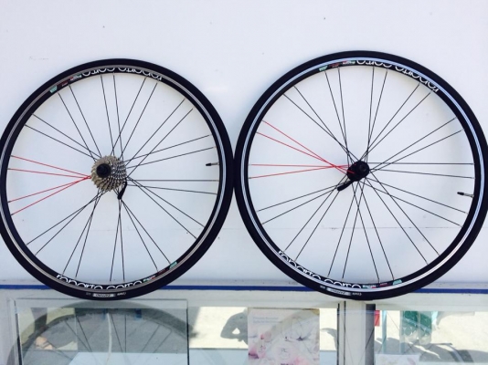 ขาย Bianchi Nirone 7 c2c size 49 เกี่ยร์ ชิ 8 sp