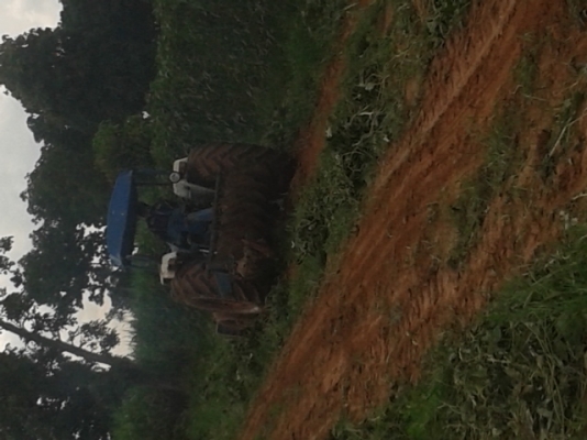 ต้องการขาย ฟอร์ด 6600  ที่ 6  หางครบ  3  , 7 ใบมีด  หางเสียบ