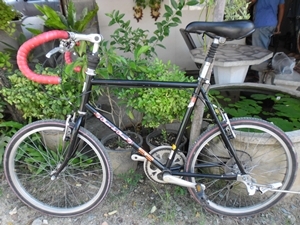 มินิหมอบ สวยๆ