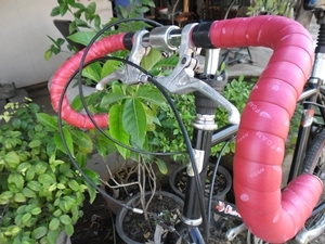 มินิหมอบ สวยๆ