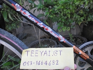 มินิหมอบ สวยๆ