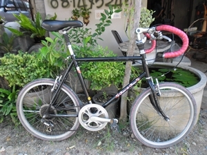 มินิหมอบ สวยๆ