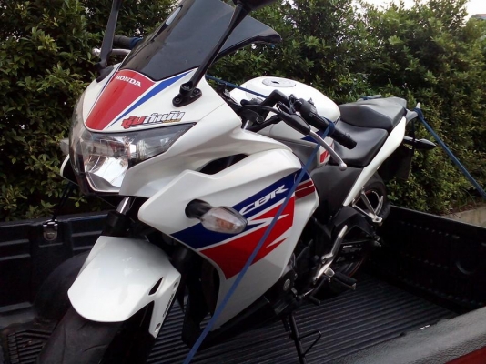 ขาย HONDA CBR 250 ABS ปี 55 สภาพเดิมๆ,เครื่องดี ไม่ดัง,ยางหน้า และหลังดอกหมดแล้ว,เล่มพร้อมชุดโอน