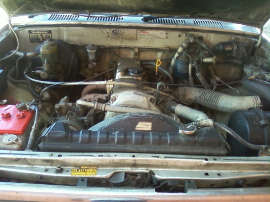 ขายไมตี้ แคป ปี 95 อยู่สารคาม ขายไมตี้ แคป ปี 95 อยู่สารคาม