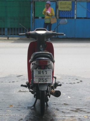 ขาย HONDA WAVE 100 (บัตรหมดอายุ) ขาย HONDA WAVE 100 (บัตรหมดอายุ)