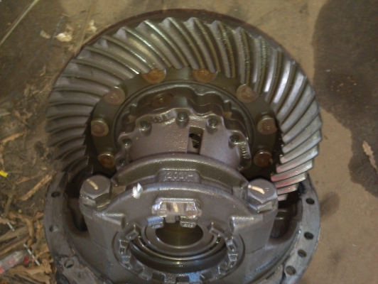 ขายเฟืองใบสีพร้อมเสื้อของแท้