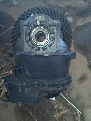 ขายเฟืองใบสีพร้อมเสื้อของแท้