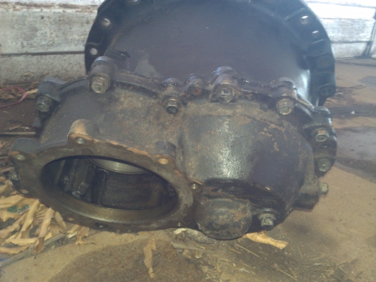 ขายเฟืองใบสีพร้อมเสื้อของแท้