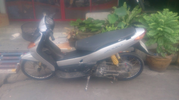 nouvo ตัวเก่า ราคาถูก