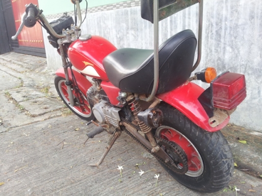 มินิช๊อปเปอร์ kawasaki หายากน่าสะสม มินิช๊อปเปอร์ kawasaki หายากน่าสะสม