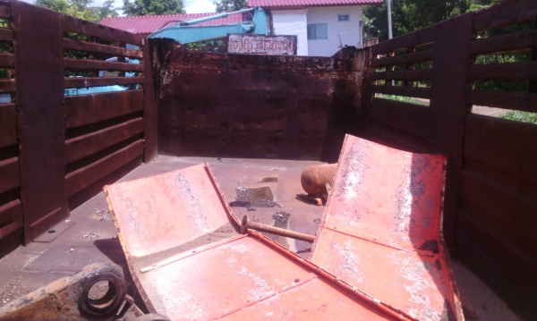 ขาย กระบะ 10 ล้อ กระบะเหล็ก ราคาถูกๆๆๆ