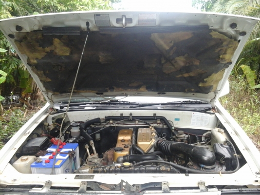 มังกรทองแป๊ะยิ้มเดิมๆครับ0890367707วิเชียร