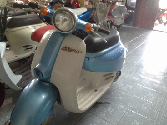 honda giorno50ccสีสวย
