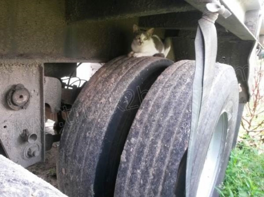 รถบรรทุก 10 ล้อหัวลาก HINO หางสามมิตรพื้นเรียบ รถบรรทุก 10 ล้อหัวลาก HINO หางสามมิตรพื้นเรียบ