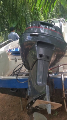 ขายด่วน เรือตกปลา