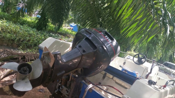 ขายด่วน เรือตกปลา