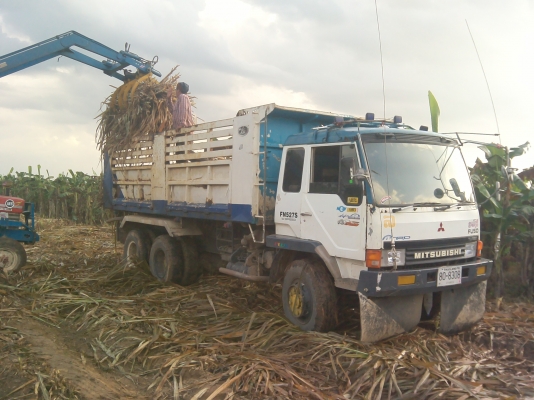 ขายเฉินหลงโบTF4026ปี39 ขายเฉินหลงโบTF4026ปี39