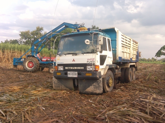 ขายเฉินหลงโบTF4026ปี39 ขายเฉินหลงโบTF4026ปี39