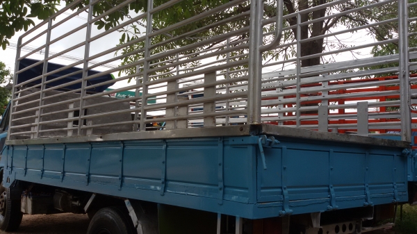 (ร้านรุ่งโรจน์ 082-1057078)ขาย 6ล้อ isuzu  NKR110 ห้างแท้ปี 37 เกียร์สั้นแท้จากศูนย์ รถมือเดียว แอร์ ฟิล์ม เพาเวอร์ กระบะเหรด ยางเรเดียล เครื่องแน่นมาก นิ่ม ช่วง