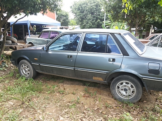 ขายเปอร์โย505