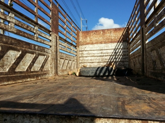 รถนิสสัน 10 ล้อดั้ม  CW430  290 แรงม้า. ( ขายแม่ , ลูก )   สนใจติดต่อ 081 - 6079515