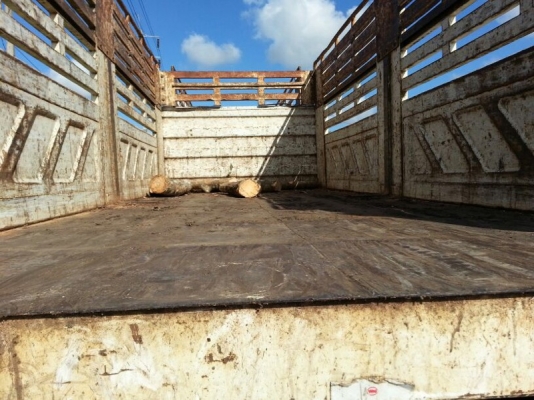 รถนิสสัน 10 ล้อดั้ม  CW430  290 แรงม้า. ( ขายแม่ , ลูก )   สนใจติดต่อ 081 - 6079515