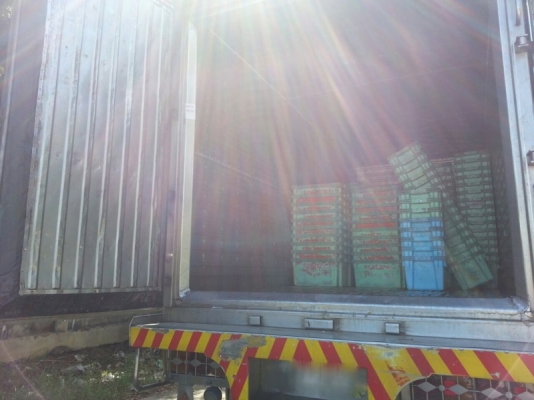 รถฮีโน่  10  ล้อตู้เย็น  FL1J  210 แรงม้า. ปี 42  สนใจติดต่อ  081 - 6079515