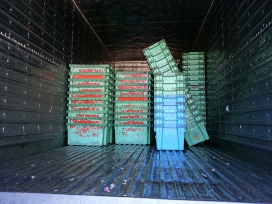 รถฮีโน่  10  ล้อตู้เย็น  FL1J  210 แรงม้า. ปี 42  สนใจติดต่อ  081 - 6079515