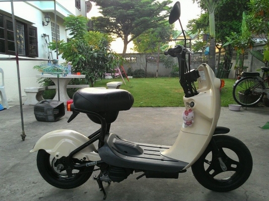 suzuki choi nori ป๊อป50cc  4จังหวะ น่ารักๆ