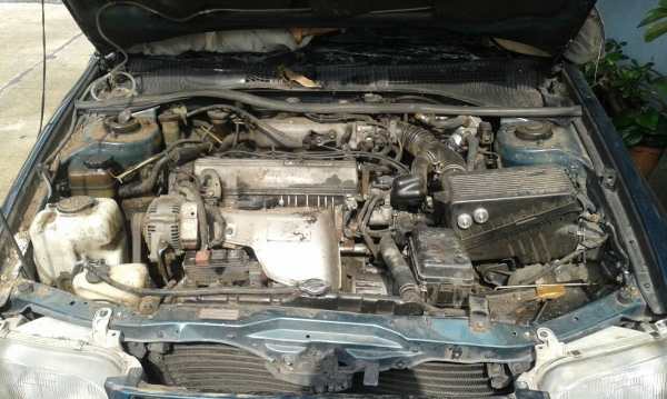 แยกขายทุกรายการท้ายโด่งid Kronyut แยกขายทุกรายการท้ายโด่งid Kronyut