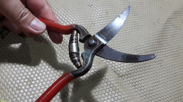 กรรไกร แต่งกิ่ง เยอร์มัน ครับ