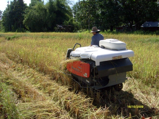 ขายด่วน รถเกี่ยวข้าว kubota jr 3 pro