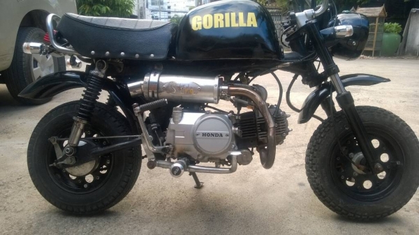 ขาย Gorilla สตาร์ทมือ