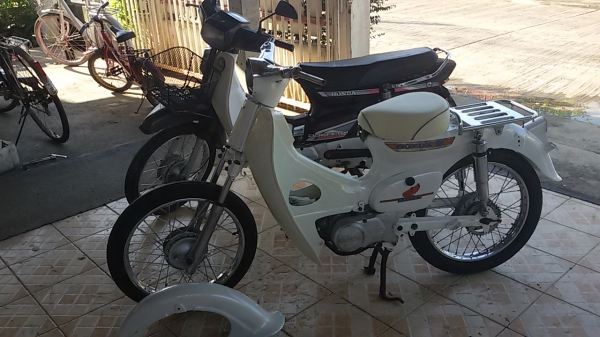 ขายคู่ honda  dream  c100b  ทะเบียนโอน  ภาษีเต็ม