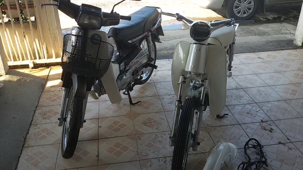 ขายคู่ honda  dream  c100b  ทะเบียนโอน  ภาษีเต็ม