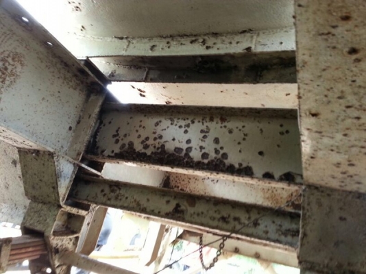 รถอีซูซุ 10 ล้อ หัวลาก FVZ  175 แรงม้า.  ( ขายแม่ , ลูก )  สนใจติดต่อ 081 - 6079515