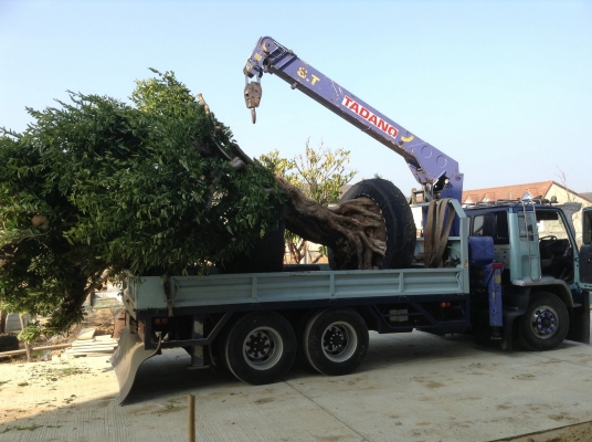 สิบล้อนางฟ้าติดเครน 8 ตัน ลดราคาลงสุดๆ