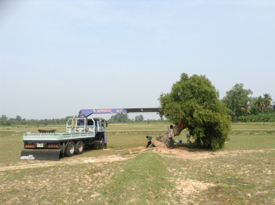 สิบล้อนางฟ้าติดเครน 8 ตัน ลดราคาลงสุดๆ