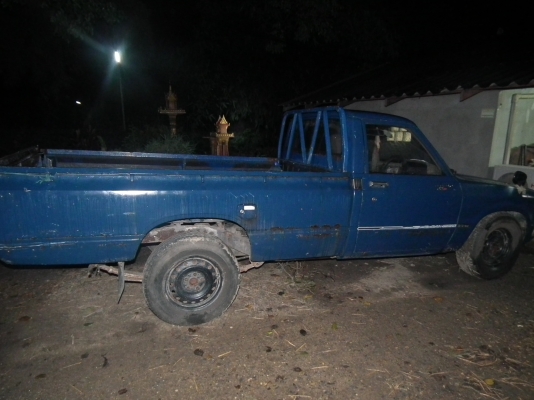 ขายหรือแยกม้ากระโดด