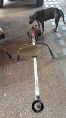 ขายเหมา *เครื่องตัดหญ้า*