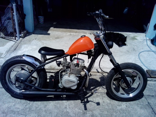 ขาย JRD ยิงหลังแข็ง