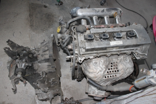 ขายแล้ว ขายแล้ว