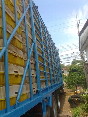 รถสิบล้อ 3เพลา บรรทุกไก่ ส่งบริษัท CP มีงานตลอดชีวิต จำนวน 495 กล่อง มีแอร์พร้อม วิ่งงานได้ทันทีครับ