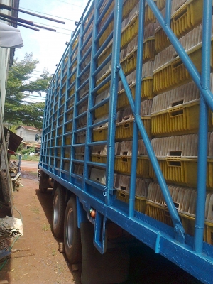 รถสิบล้อ 3เพลา บรรทุกไก่ ส่งบริษัท CP มีงานตลอดชีวิต จำนวน 495 กล่อง มีแอร์พร้อม วิ่งงานได้ทันทีครับ